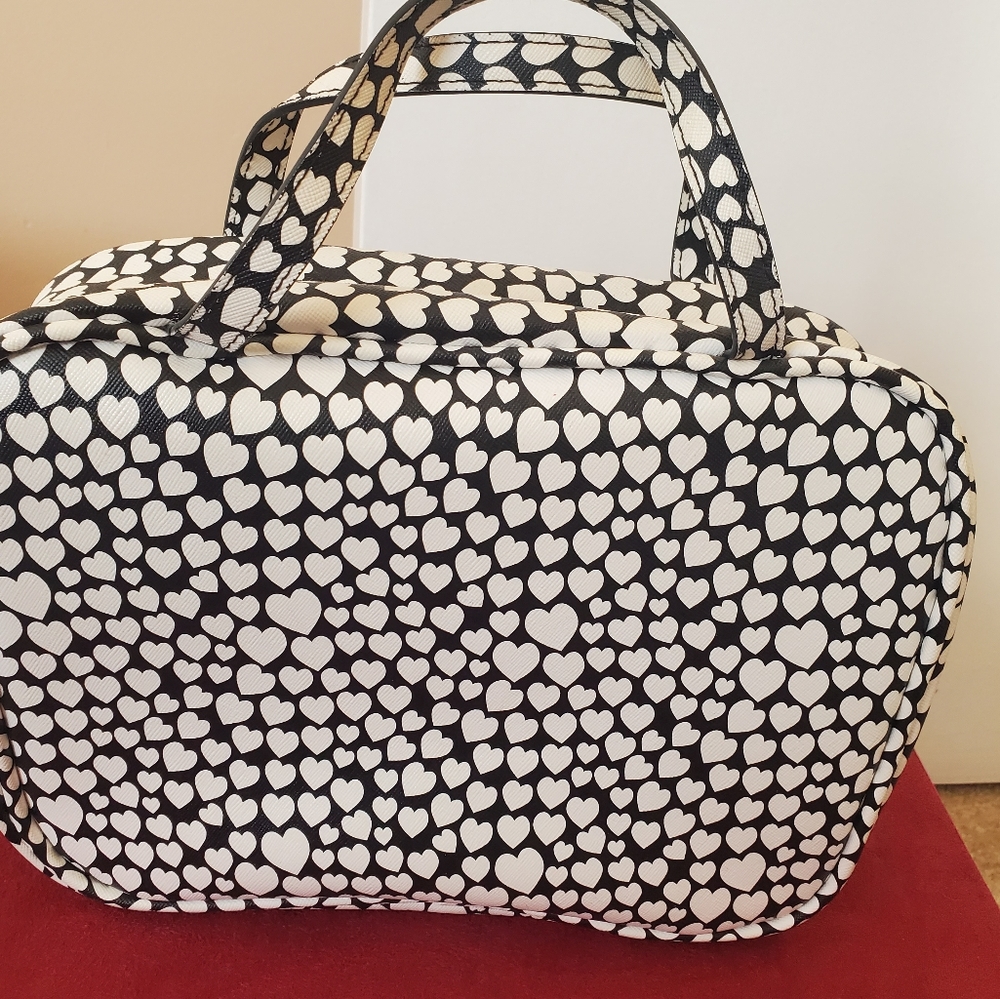 Makeup Totes/purse